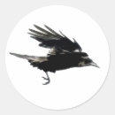 Recherche de vis autocollants Corneille
