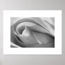 Zoek naar zwart wit roze posters Roos