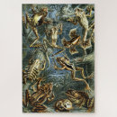 Recherche de grenouille puzzles Vintage