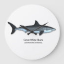 Recherche de requin horloges Prédateur