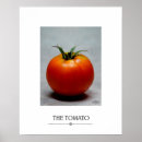 Zoek naar tomaten posters Fotografie