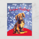 Recherche de dachshund cartes postales Dogs