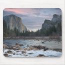 Recherche de scenics tapis souris Nature