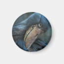Recherche de cigogne magnets Bec