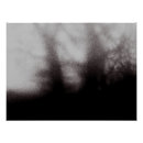 Recherche de arbre abstrait posters Forêt
