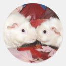 Recherche de baisse autocollants Animal