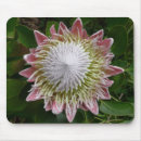 Recherche de grande fleur tapis souris Floral