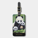 Recherche de panda mignon accessoires Nature
