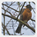 Recherche de merle autocollants Oiseau