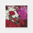 Zoek naar roze anjer servetten Natuur