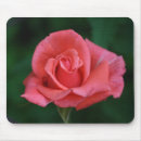 Recherche de parfumé tapis souris Rose