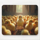 Recherche de poussin jaune tapis souris Pour tous