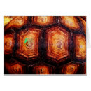 Recherche de terrapin vœux cartes Os