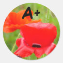 Recherche de coquelicots autocollants Rouge