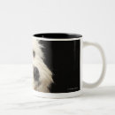 Recherche de curiosité tasses Chien