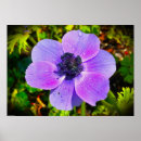 Zoek naar anemoon posters Natuur