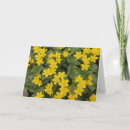 Zoek naar marigolds kaarten Bloemen