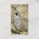 Recherche de queue cartes visite Oiseau