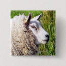 Recherche de élevage badges Animaux