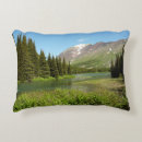 Recherche de ruisseau coussins Montagne