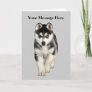 Zoek naar husky kaarten Puppies