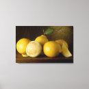 Recherche de citron art De cuisine