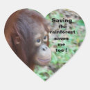 Recherche de animal de faune Conservation