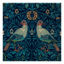 Recherche de faisan posters Animaux