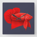 Recherche de splendens de betta art Poissons