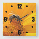 Recherche de lumineuse horloges Insecte