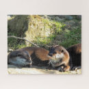 Recherche de loutres puzzles Sauvage