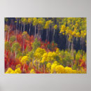 Recherche de cache cache posters Motif