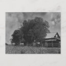 Recherche de de coton cartes postales Ferme