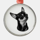 Zoek naar chihuahua ornamenten Schilderij