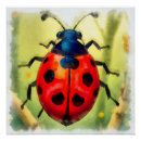 Recherche de coccinelle posters Nature