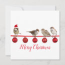 Zoek naar merry christmas bird briefkaarten Kerstmis