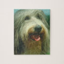 Recherche de colley puzzles Chien