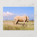 Zoek naar pastoral briefkaarten Weide