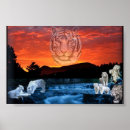 Zoek naar witte tijgers posters Natuur