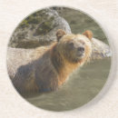 Zoek naar grizzly onderzetters Canada