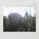 Recherche de homerun posters Balle