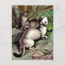 Recherche de sabots cartes postales Vintage