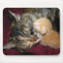 Recherche de rêveur tapis souris Maman