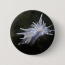 Recherche de scaphandre accessoires Nudibranch