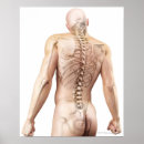 Recherche de angler posters Illustration