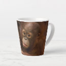 Recherche de orangutan tasses Animaux sauvages