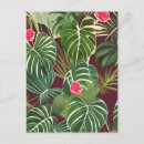 Recherche de plantes tropicales cartes postales Rose