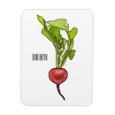 Recherche de croquant magnets Légume