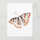 Recherche de animal sauvage cartes postales Coloré