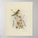 Zoek naar vogel kunst Kleur